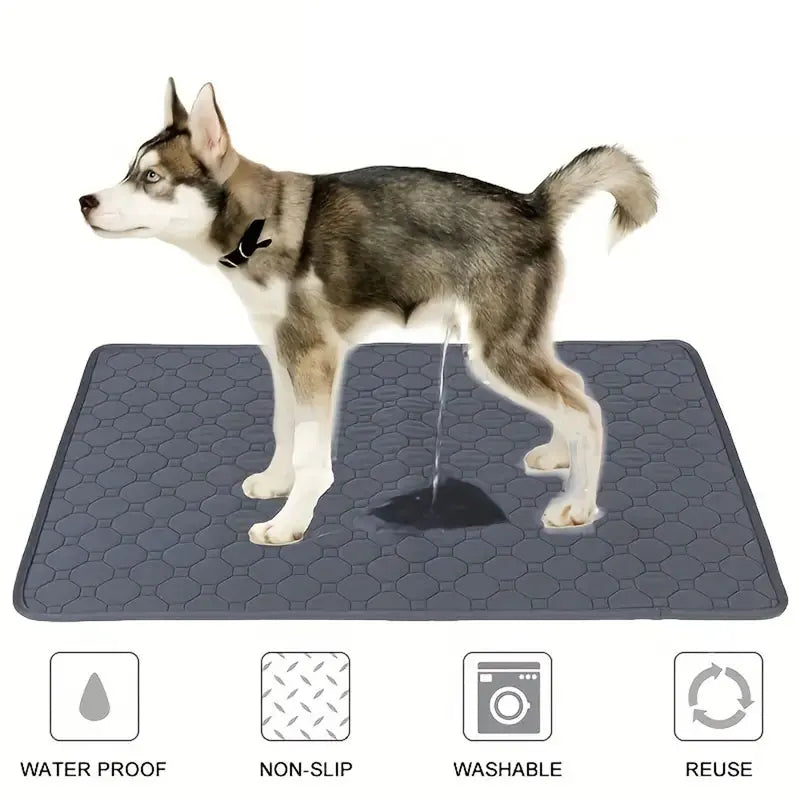 Dog Pee Pad Reusable Washable