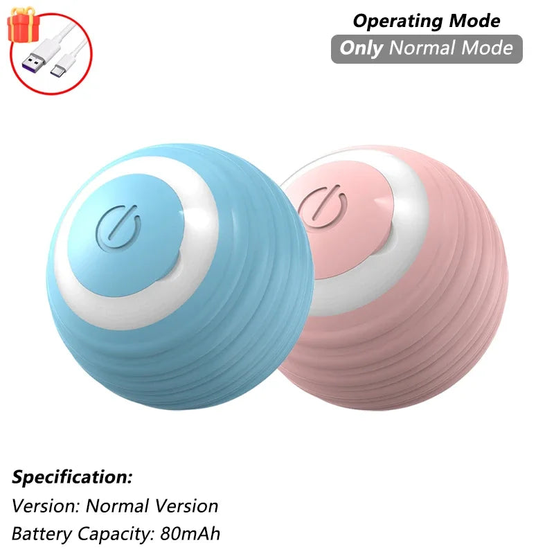 Pet Interactive Ball Toy