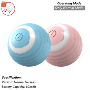 Pet Interactive Ball Toy